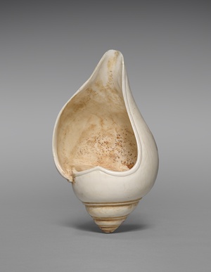 Ritual conch shell