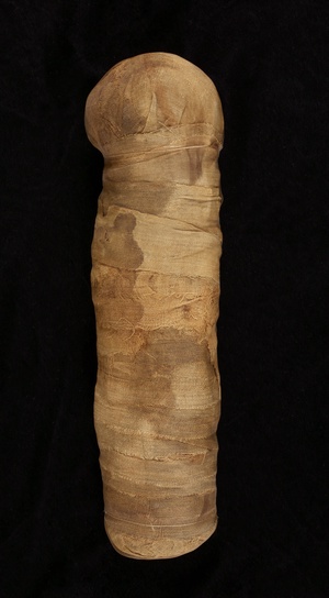 Cat Mummy