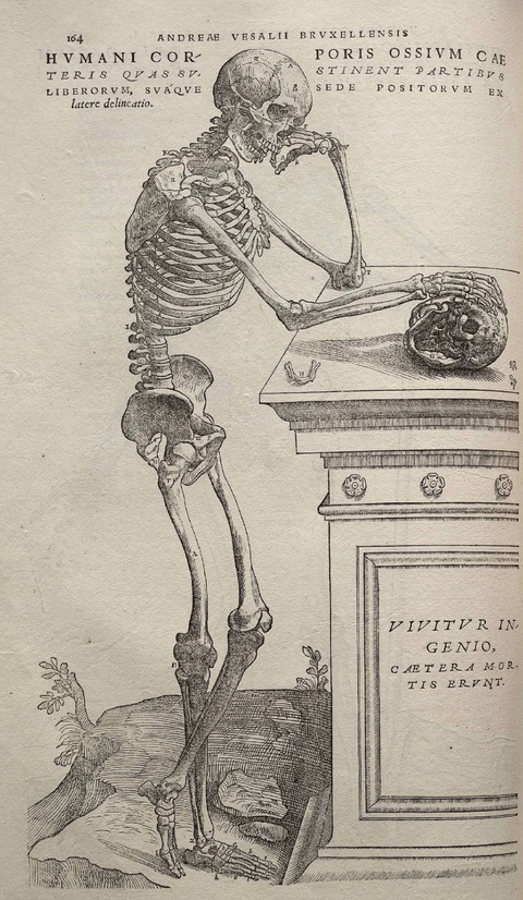 A woodcut depicts a skeleton leaning on a pedestal with one arm and the other arm resting on a skull