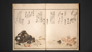 Gifts of the Ebb Tide (The Shell Book) (Shiohi no tsuto) 潮干のつと(都登)