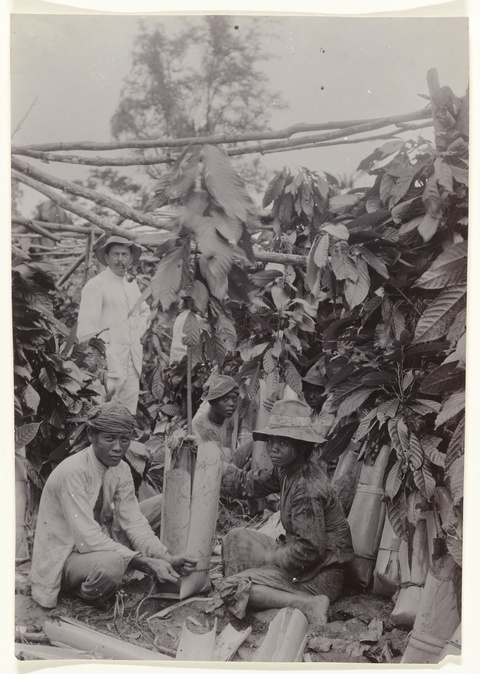 A black and white photo shows a well-dressed white plantation owner with a tobacco pipe standing in 