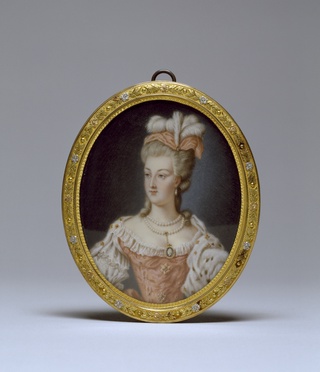 Queen Marie-Antoinette, 1778, Anne Vallayer-Coster, French