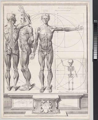 Plate for the ‘Atlas Anatomico’ (unpublished), Plate ca. 1680–94; printed 1740, Crisóstomo Alejandri