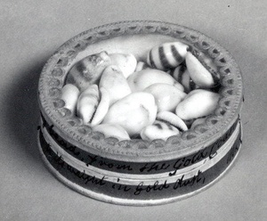 Box of Cowrie Shells