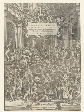 Anatomische les, 1543, Andreas Vesalius, after Jan Stefan van Calcar, Flemish