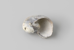 Nautilus pompilius shell from the wreck of the Dutch East India ship Witte Leeuw